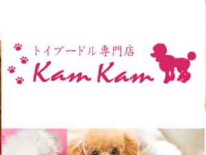犬の躾 マズルコントロール編 大阪市のトイプードル専門ドッグブリーダーkamkam カムカム
